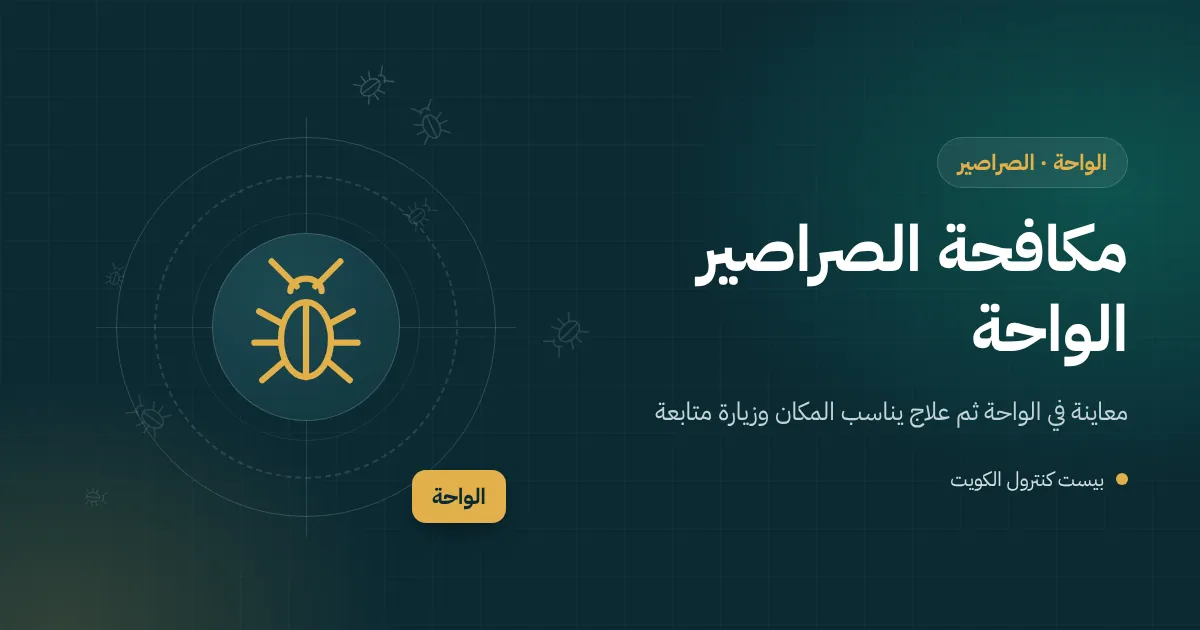 رسم توضيحي لصرصور يصعد من بالوعة في حوش بيت بالواحة تحت شمس صيف حارقة