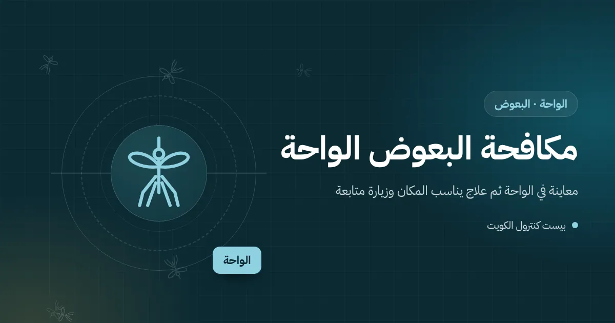 رسم توضيحي لحوش بيت في الواحة بعد المطر تتجمع فيه برك صغيرة وفني يعالجها