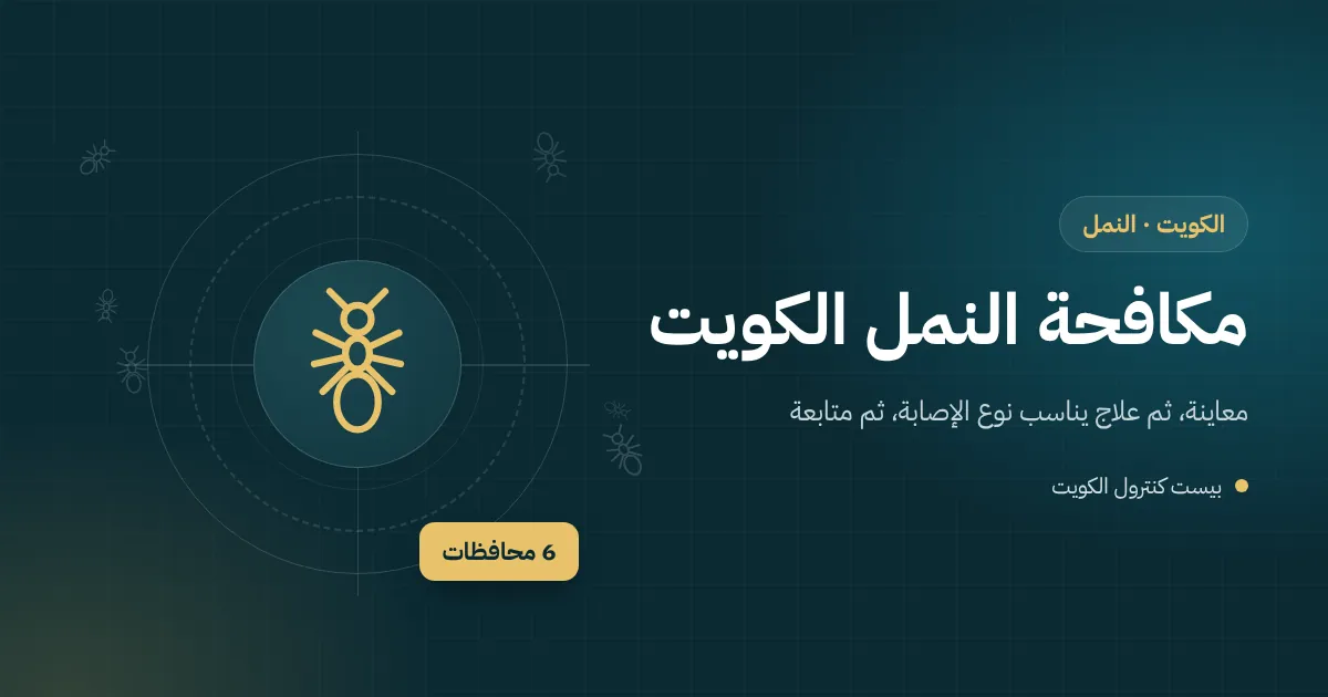 رسم توضيحي لطابور نمل يتجه نحو محطة طعم في مطبخ مع مقطع لأنفاق النمل الأبيض في إطار باب خشبي