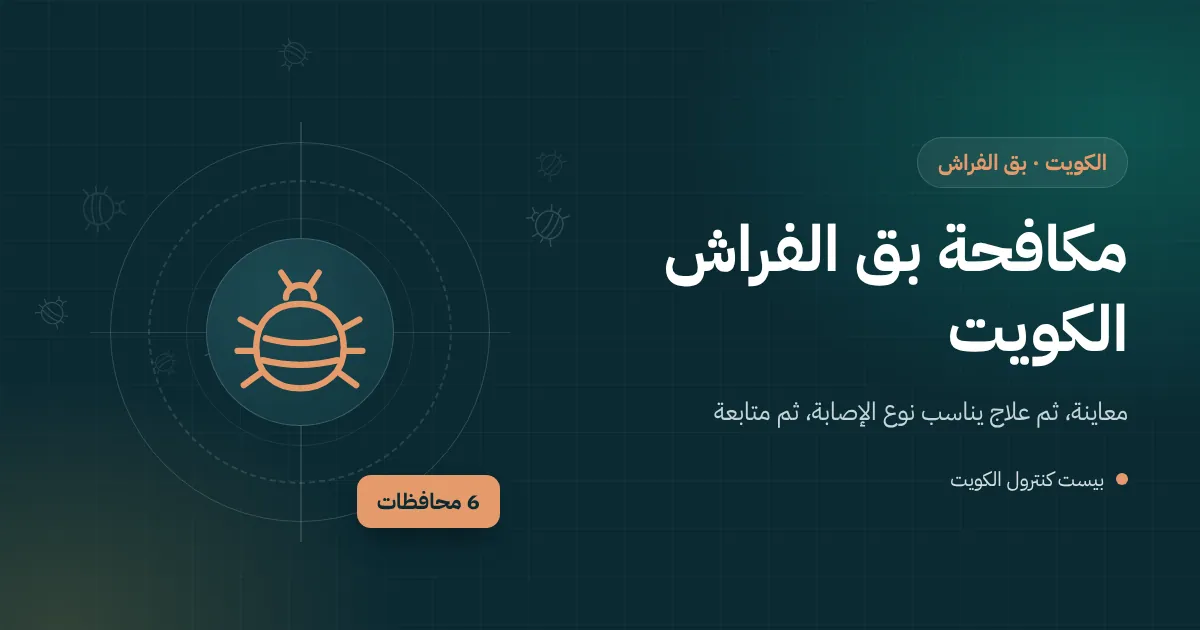 رسم توضيحي مكبّر لبق الفراش وبيضه داخل درزات مرتبة سرير مع فني يستخدم جهاز البخار