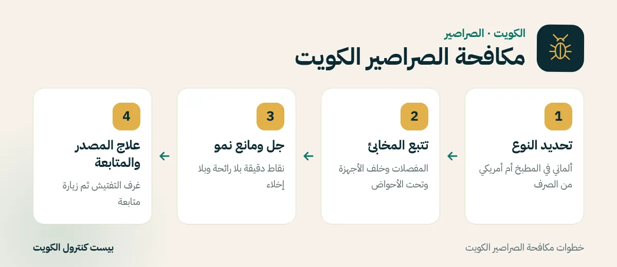 خطوات مكافحة الصراصير الكويت