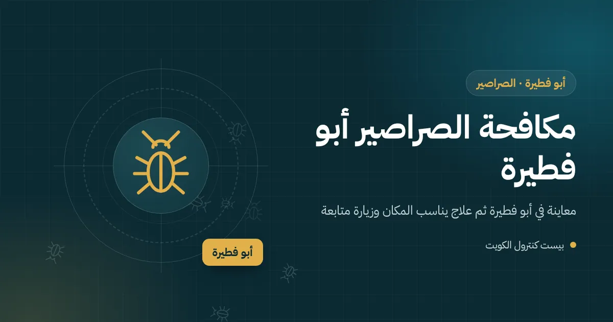 رسم توضيحي لغرفة تفتيش في حوش فيلا بأبو فطيرة تخرج منها صراصير وفي الخلفية حفريات صرف في الشارع