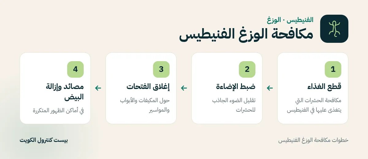 خطوات مكافحة الوزغ الفنيطيس