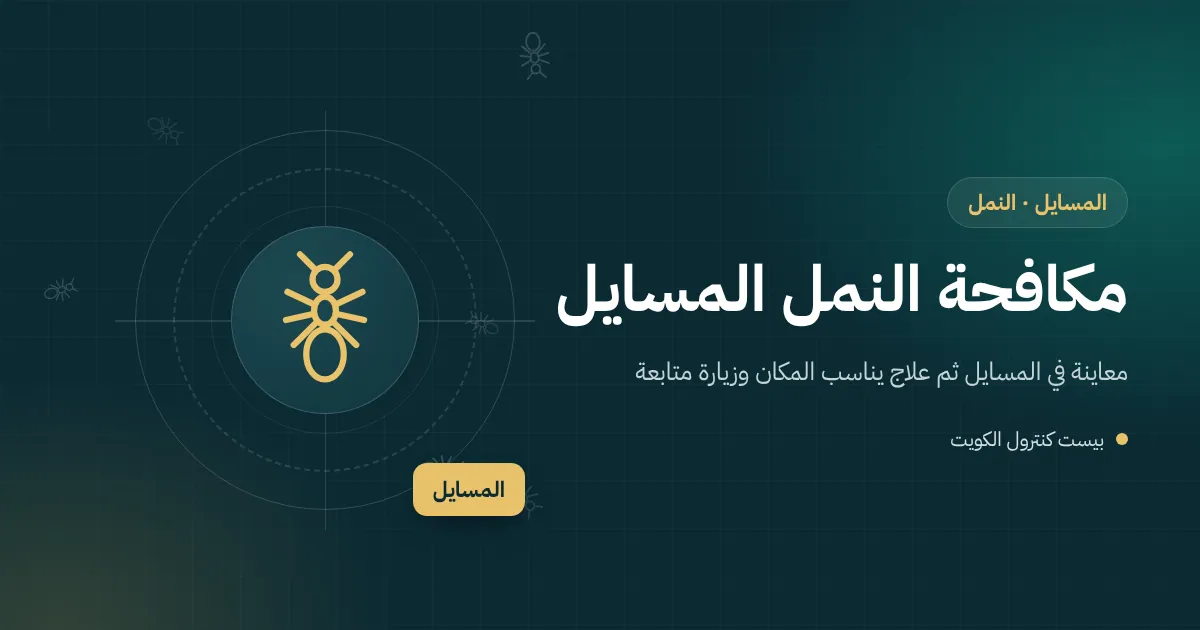 رسم توضيحي لحديقة منسقة حديثًا أمام فيلا في المسايل مع خط نمل يتجه إلى باب المطبخ