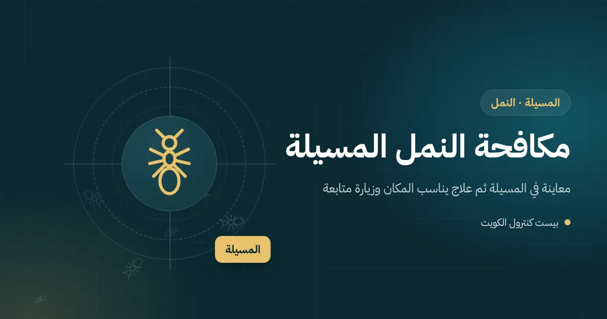 رسم توضيحي لخط نمل يمتد من عشب حديقة إلى حافة مسبح في فيلا بالمسيلة