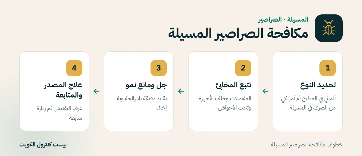 خطوات مكافحة الصراصير المسيلة