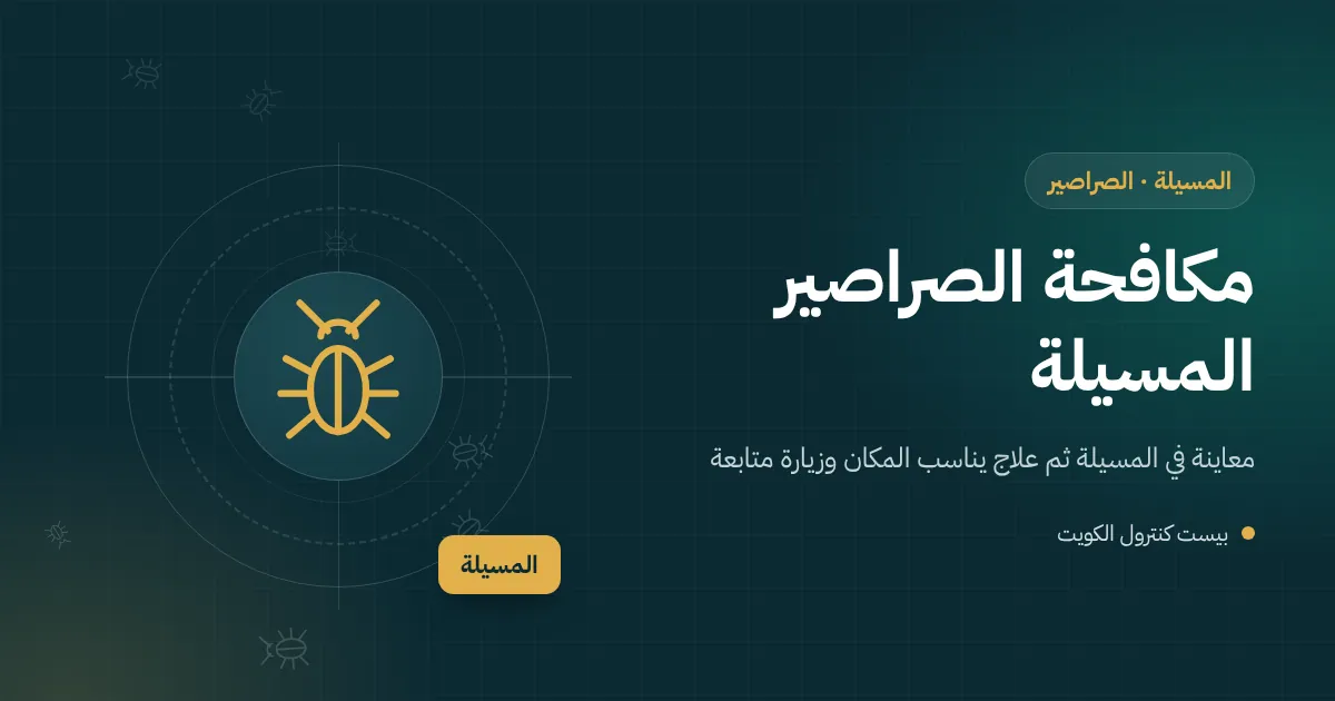 رسم توضيحي لصرصور أمريكي قرب صندوق محبس ري في حديقة فيلا ساحلية بالمسيلة