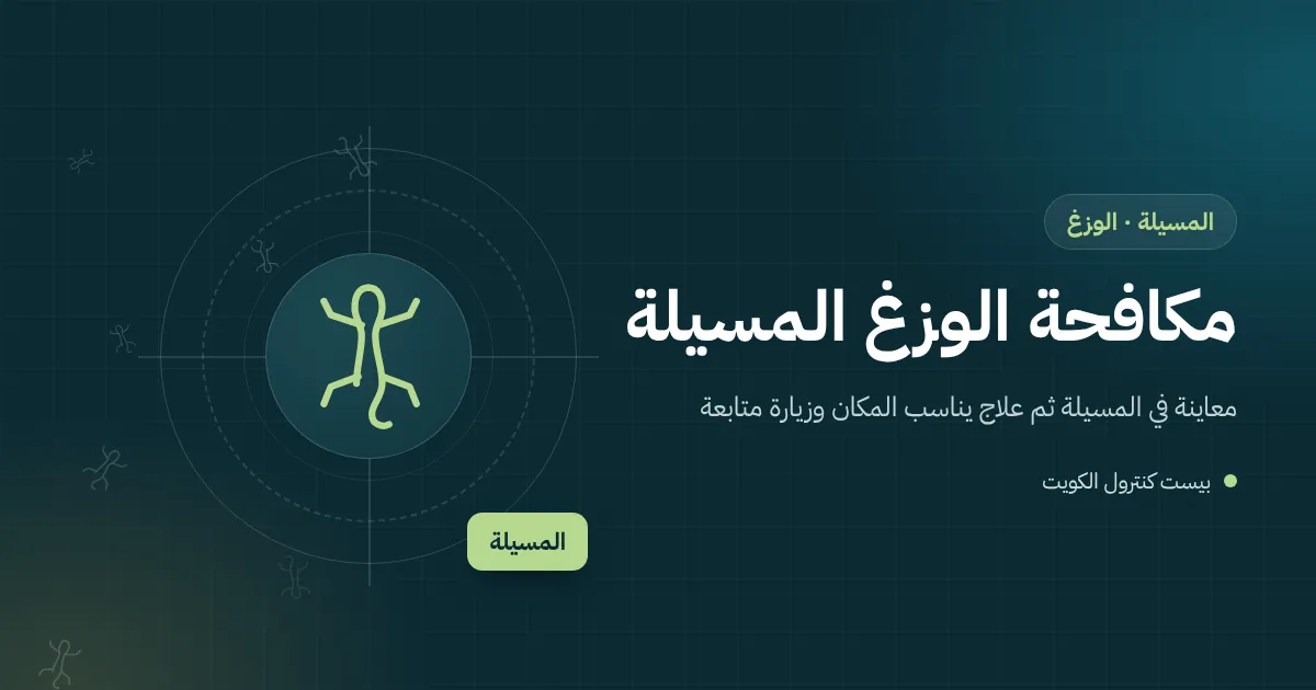 رسم توضيحي لوزغ على جدار فيلا قرب مصباح خارجي يجذب الحشرات في المسيلة