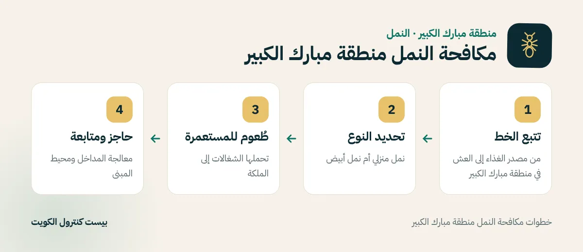 خطوات مكافحة النمل منطقة مبارك الكبير