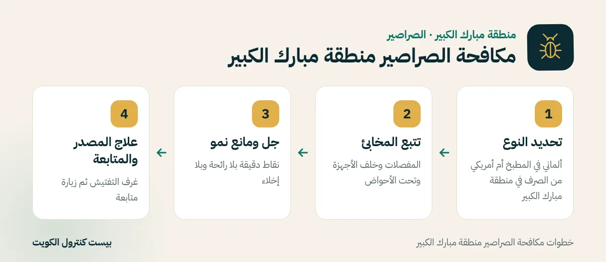 خطوات مكافحة الصراصير منطقة مبارك الكبير