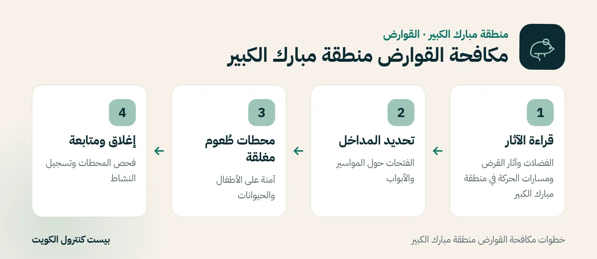 خطوات مكافحة القوارض منطقة مبارك الكبير