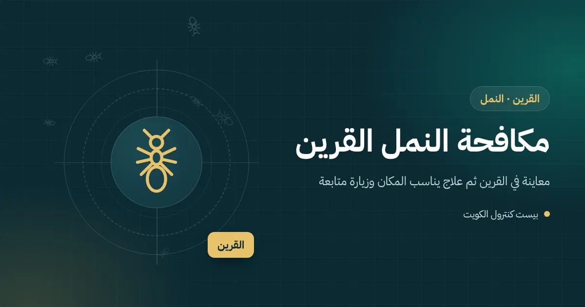 رسم توضيحي لخط نمل يخرج من بلاطة رفعتها جذور شجرة في حوش بيت بالقرين