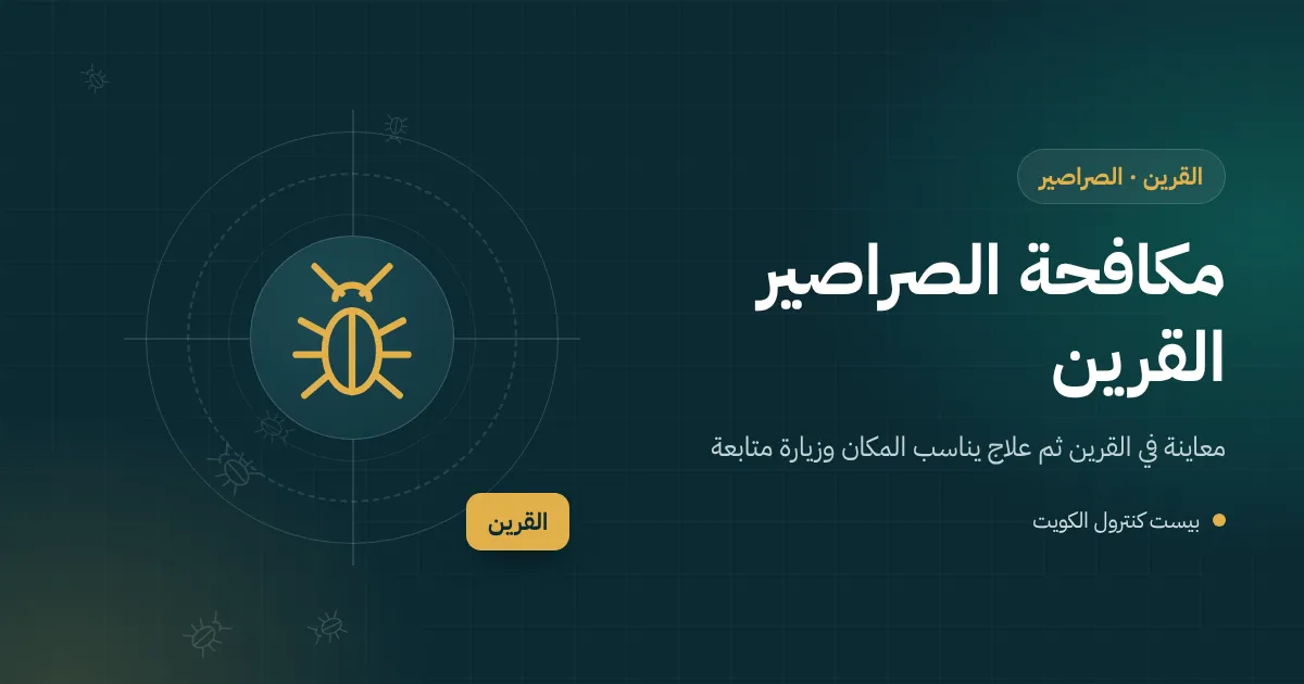 رسم توضيحي لصرصور يخرج من مصرف حمام ملحق في بيت عائلي بالقرين