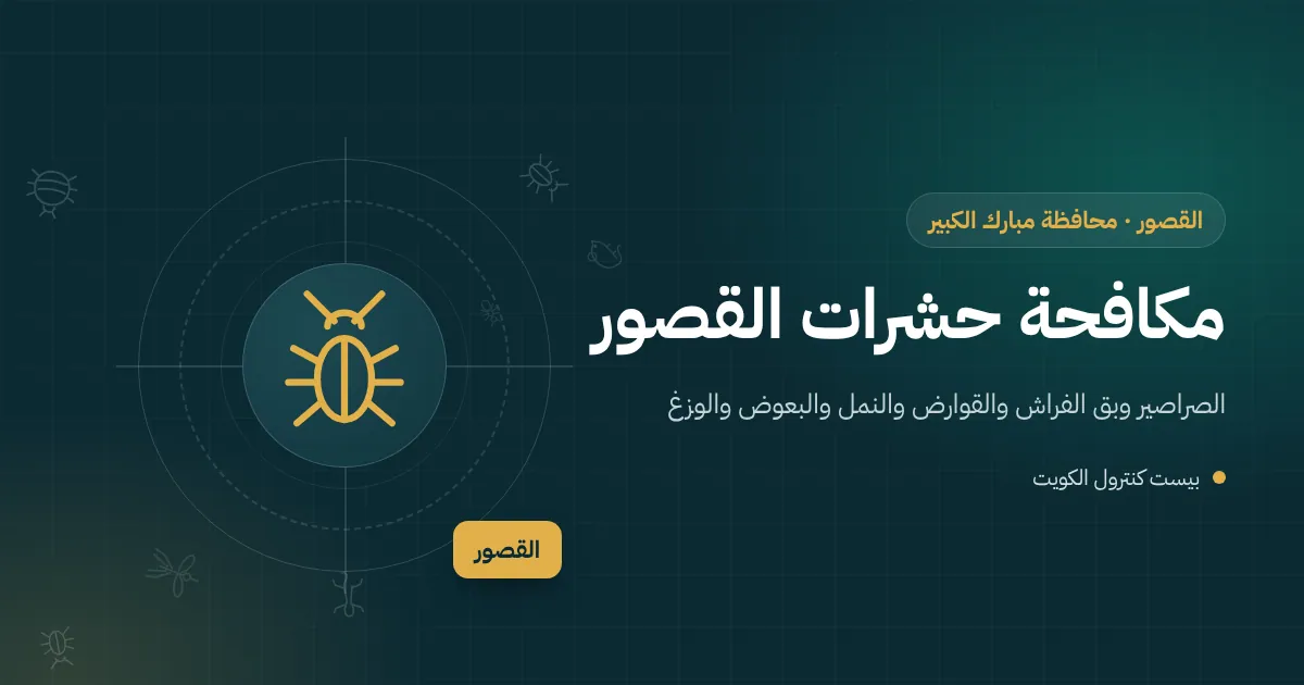 رسم توضيحي لسطح بيت في القصور بخزانات مياه ووحدات تكييف مع رموز لآفات الصيف والشتاء