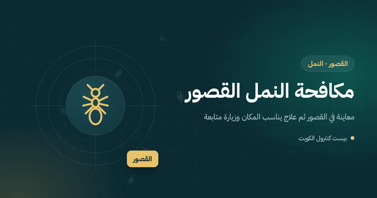 رسم توضيحي لأسراب نمل أبيض مجنح حول نافذة بيت في القصور بعد المطر مع أجنحة متساقطة