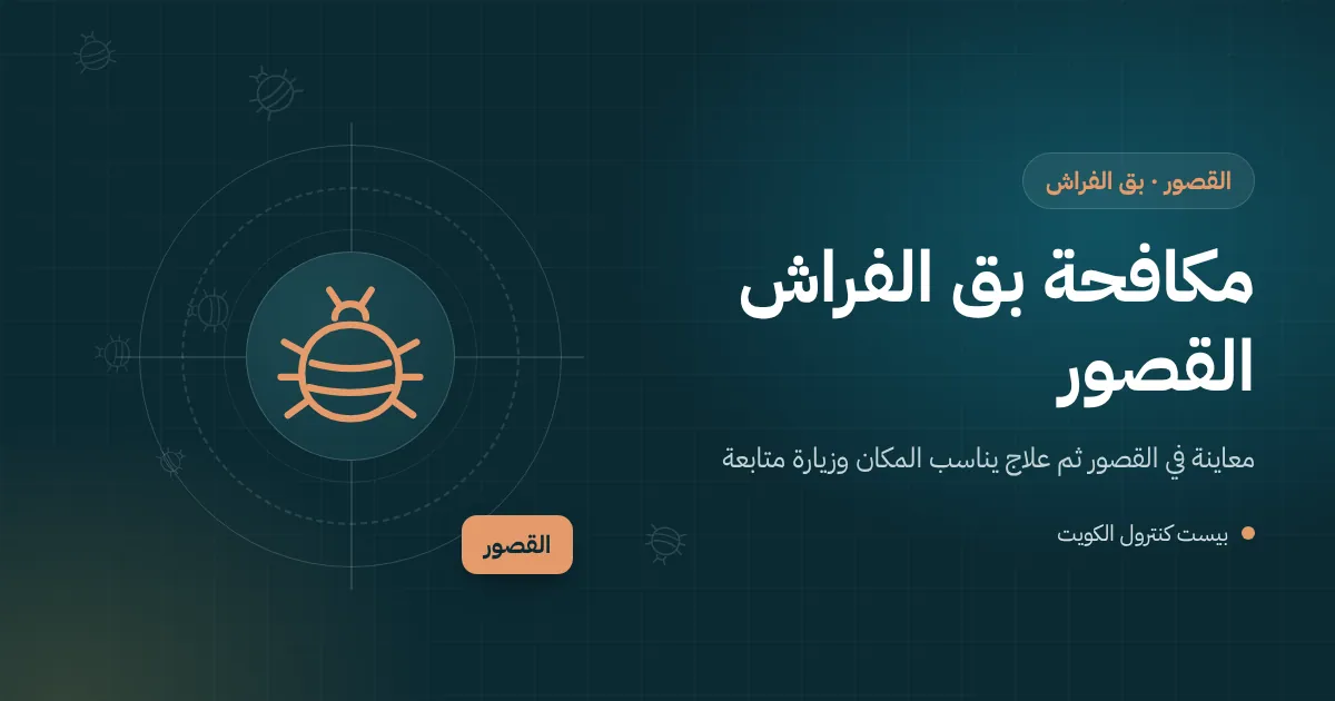 رسم توضيحي لحقيبة سفر مفتوحة قرب سرير في بيت بالقصور مع عدسة تكشف بق الفراش في طياتها