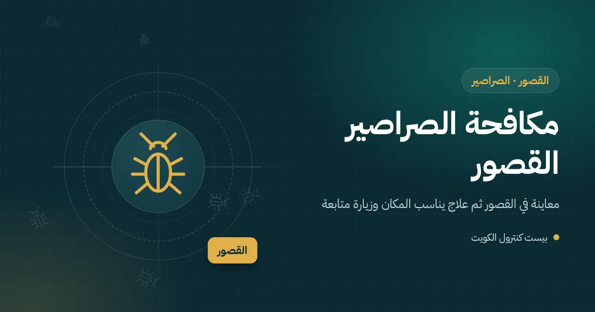 رسم توضيحي لصرصور أمريكي قرب مخرج مزراب على سطح بيت في القصور تحت شمس الصيف