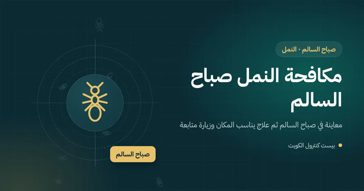 رسم توضيحي لخط نمل يخرج من مقبس كهربائي في شقة بعمارة في صباح السالم
