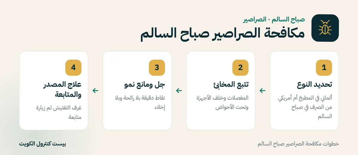 خطوات مكافحة الصراصير صباح السالم
