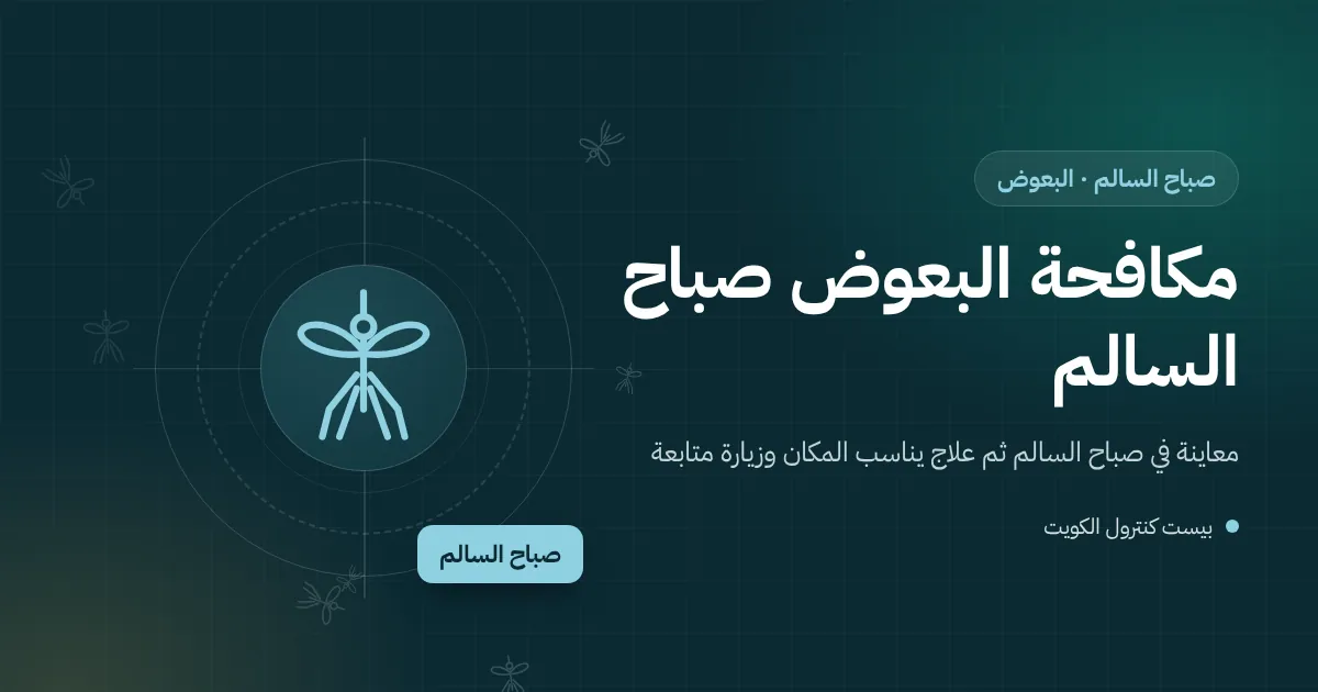 رسم توضيحي لسرداب عمارة في صباح السالم فيه بركة ماء قرب مضخة وبعوض يصعد نحو الطوابق