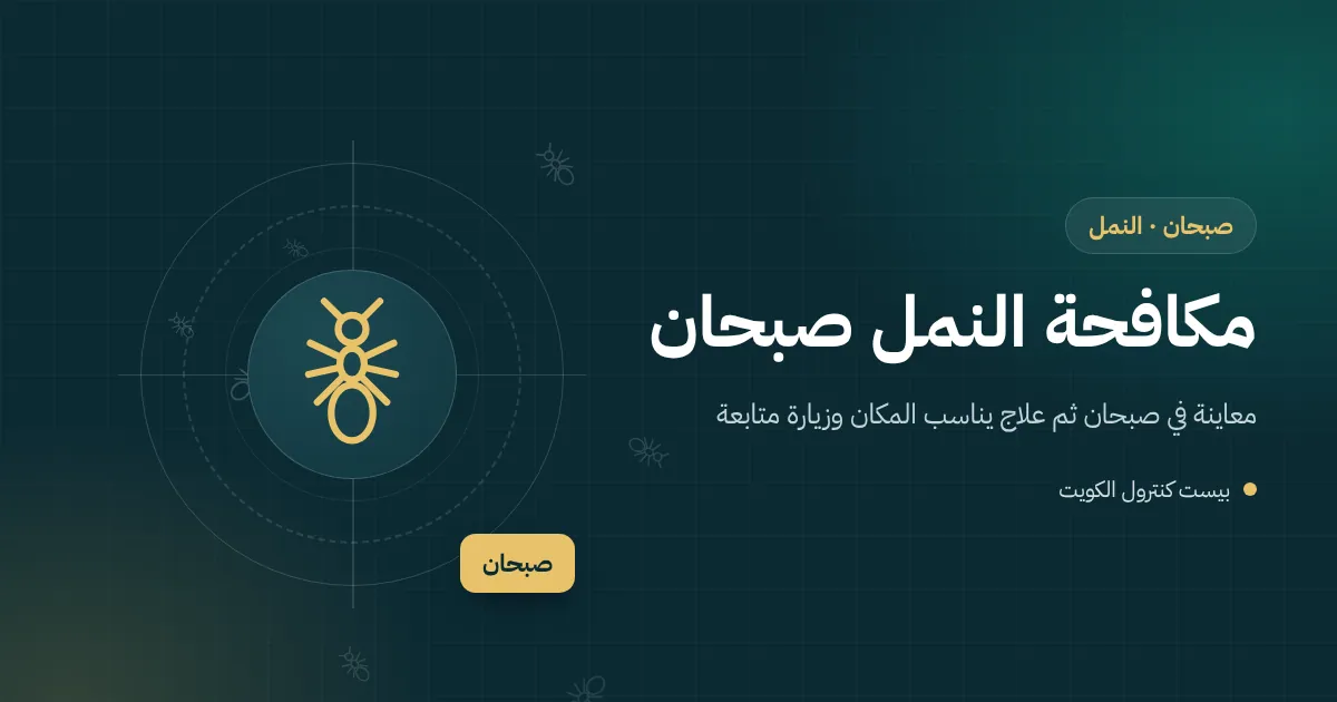 رسم توضيحي لنمل أبيض داخل طبلية خشبية في مستودع بمنطقة صبحان الصناعية