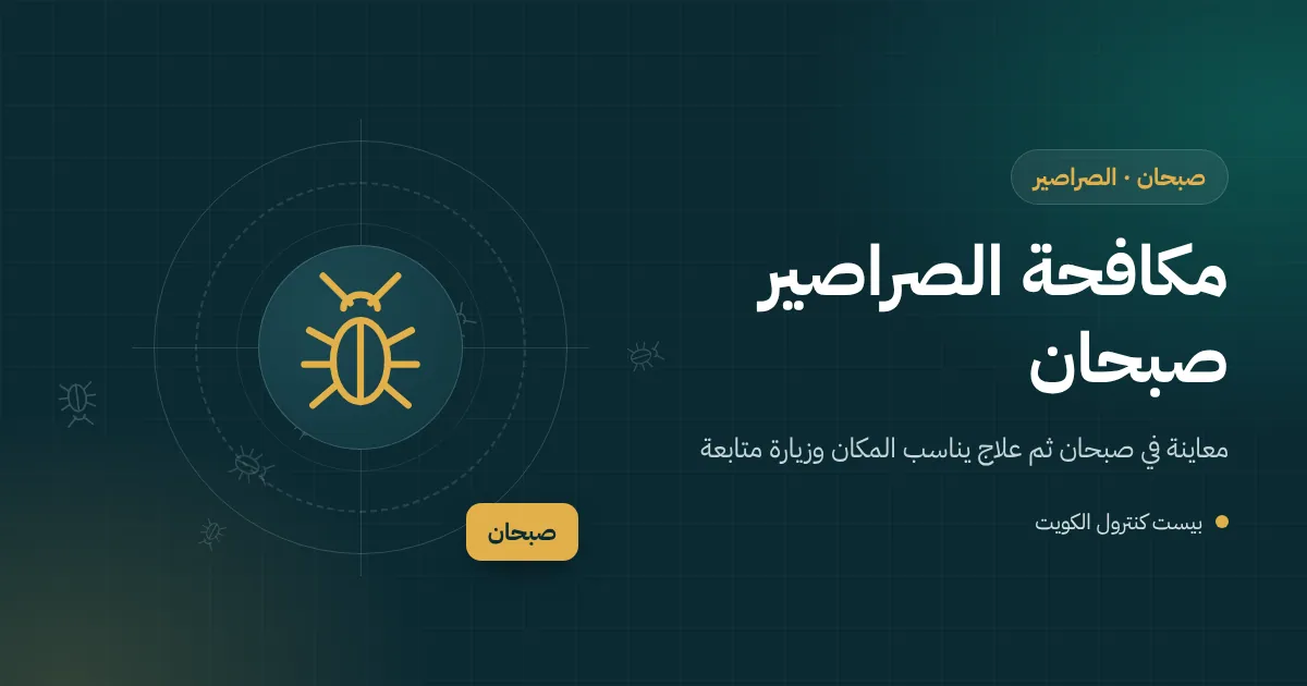 رسم توضيحي لصراصير قرب كراتين مكدسة على طبلية في مستودع بمنطقة صبحان الصناعية